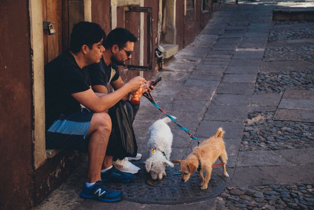 Reactive dog training in Las Vegas — an aggressive dog trainer helping a formerly reactive dog stay calm around other dogs